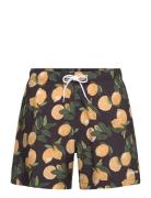 Hco. Guys Swim Uimashortsit Black Hollister