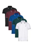 Hco. Guys Knits Tops Polos Short-sleeved Multi/patterned Hollister