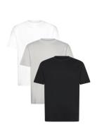 Hco. Guys Knits Tops T-shirts Short-sleeved Multi/patterned Hollister