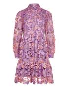 Star Ls Dress Lyhyt Mekko Purple Noella