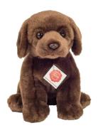 Sitting Labrador Dark Brown 25 Cm Toys Soft Toys Stuffed Animals Brown...
