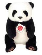 Sitting Panda 28 Cm Toys Soft Toys Stuffed Animals Black Teddy Hermann