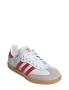 Samba Og C Sport Sneakers Low-top Sneakers White Adidas Originals