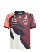 Mer Dr Jsysp Ry Tops T-shirts Short-sleeved Red Adidas Performance