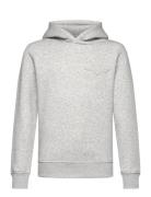 Tonal As Hoodie Tops Sweat-shirts & Hoodies Hoodies Grey GANT