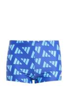 Brd Gfx Bx By Uimashortsit Blue Adidas Sportswear