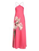 Ajima Maksimekko Juhlamekko Pink Ted Baker London