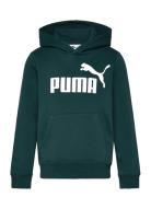 Ess No. 1 Logo Hoodie Fl B Sport Sweat-shirts & Hoodies Hoodies Green ...