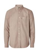 Casual Oxford B.d Shirt Tops Shirts Casual Brown Lexington Clothing