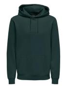 Onsceres Hoodie Sweat Noos Tops Sweat-shirts & Hoodies Hoodies Khaki G...