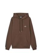 Standard Hoodie Logo Sweat Tops Sweat-shirts & Hoodies Hoodies Brown M...
