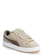 Suede Xl Sport Sneakers Low-top Sneakers Beige PUMA