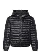 Shiny Light Padded Jacket Toppatakki Black GANT