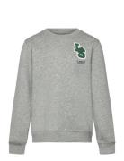 Fw-Crew Tops Sweat-shirts & Hoodies Sweat-shirts Grey Levi's