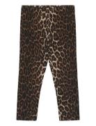 Tnstpenny Leggings Bottoms Leggings Brown The New