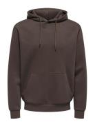 Onsceres Hoodie Sweat Noos Tops Sweat-shirts & Hoodies Hoodies Brown O...