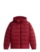 Mid Weight Hooded Jacket Vuorillinen Takki Topattu Takki Red Tommy Hil...