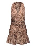Mave Halter Neck Mini Dress Lyhyt Mekko Beige Bardot