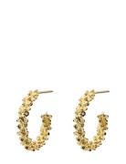 Gemma Loops Gold Accessories Jewellery Earrings Hoops Gold Caroline Sv...