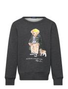 Polo Bear Heathered Fleece Sweatshirt Tops Sweat-shirts & Hoodies Swea...