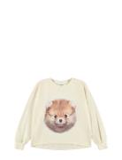 Reniza Tops T-shirts Long-sleeved T-shirts Cream Molo