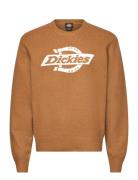 M Ruston Sweater Tops Knitwear Round Necks Orange Dickies