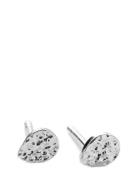 Drop Nature Earsticks Accessories Jewellery Earrings Studs Silver Pern...