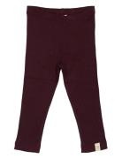 Legging Modal Bottoms Leggings Burgundy Petit Piao