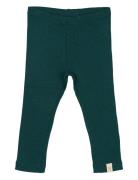 Legging Modal Bottoms Leggings Green Petit Piao