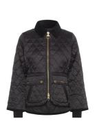 Barbour Fitted Beadnell Quilted Jacket Tikkitakki Black Barbour