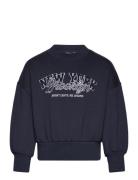 Embroidered Cotton Sweatshirt Tops Sweat-shirts & Hoodies Sweat-shirts...