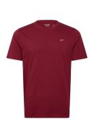 Icon Crew Knit T Shirt Tops T-shirts Short-sleeved Burgundy Hollister