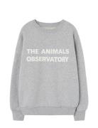 Frey Leo Sweatshirt Tops Sweat-shirts & Hoodies Sweat-shirts Grey THE ...