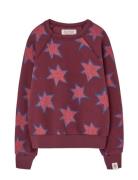 Stars Shark Sweatshirt Tops Sweat-shirts & Hoodies Sweat-shirts Burgun...