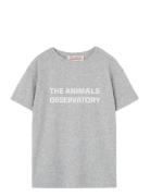 Frey Orion T-Shirt Tops T-shirts Short-sleeved Grey THE ANIMALS OBSERV...