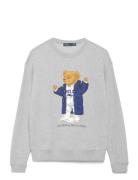 Polo Bear Fleece Crewneck Tops Sweat-shirts & Hoodies Sweat-shirts Gre...