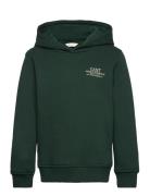 Graphic Hoodie Tops Sweat-shirts & Hoodies Hoodies Green GANT