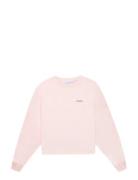 Massard Amour Tops Sweat-shirts & Hoodies Sweat-shirts Pink Maison Lab...