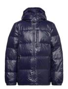 Glossed Down Hooded Jacket Toppatakki Navy Ralph Lauren Kids