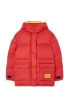 Lemur Kid Puffer Jacket Maroon Toppatakki Red THE ANIMALS OBSERVATORY
