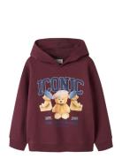 Nkfrycca Ls Nreg Sweat Wh Bru Box Tops Sweat-shirts & Hoodies Hoodies ...