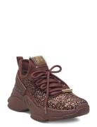 Maxilla-G Matalavartiset Sneakerit Tennarit Brown Steve Madden